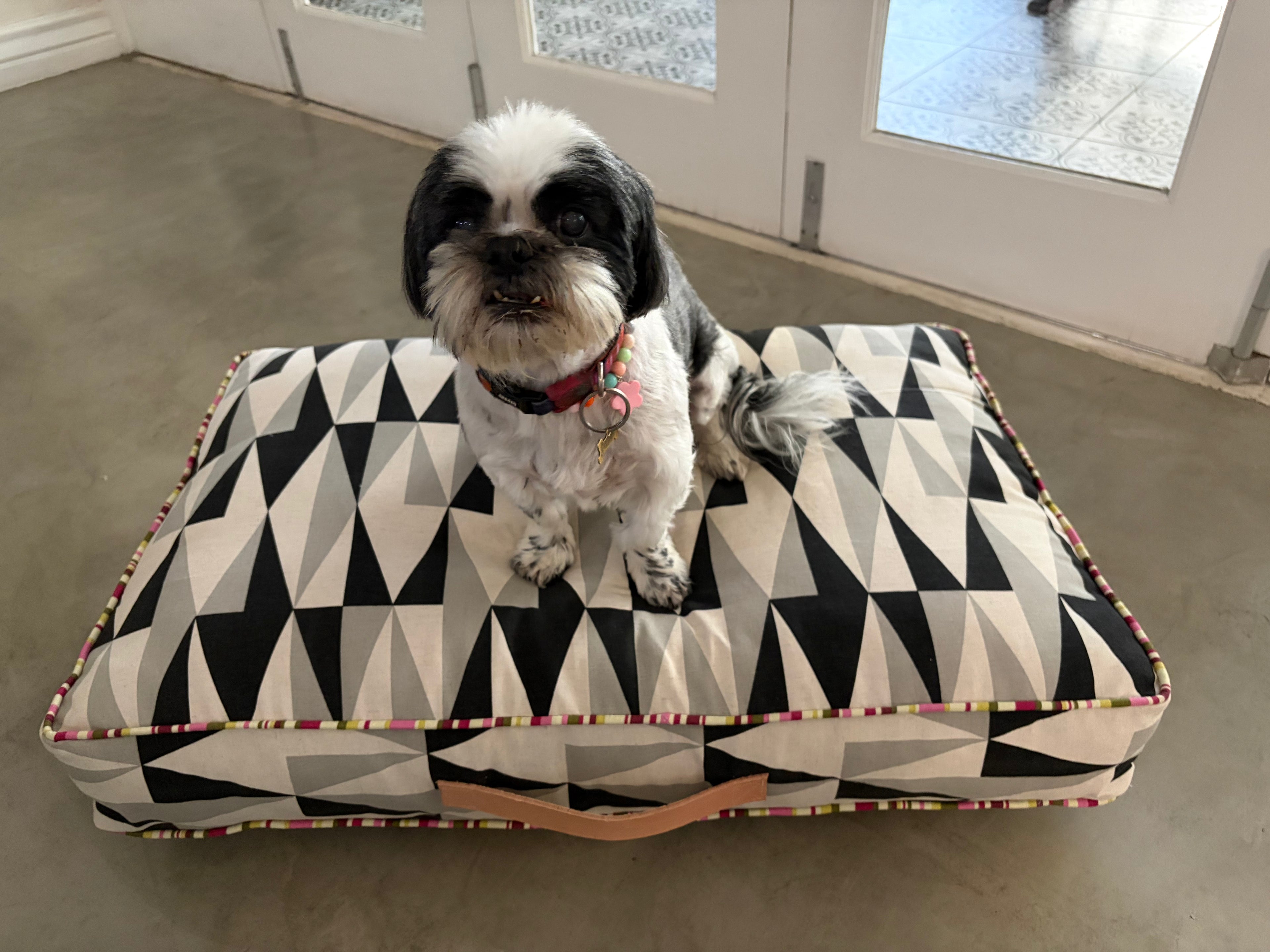 PET BEDS